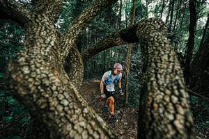 BIB: 
                            <button type="button" onclick="openModal(25392711)" class="btn btn-primary btn-sm float-right btn-popup" data-toggle="modal" data-target=".modal-high-quality">
                        <i class="fas fa-shopping-cart"></i> Add to Cart
                    </button>
                                            <button type="button" onclick="isThisMe(25392711, true)" class="btn btn-success btn-sm float-right btn-popup btn-isme hidden" data-toggle="tooltip" data-placement="bottom" title="นี่คือรูปของคุณใช่ไหม คลิกที่นี่เพื่อเอาเข้าอัลบั้ม">
                        <i class="fas fa-plus"></i> Add to album
                    </button>
                    <button type="button" onclick="isThisMe(25392711, false)" class="btn btn-warning btn-sm float-right btn-popup btn-isnotme hidden">
                        <i class="fas fa-ban"></i> Remove from album
                    </button>